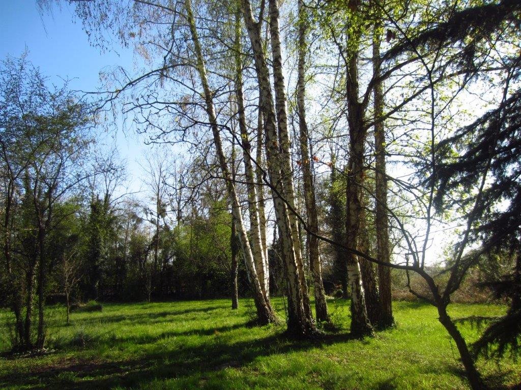 Équipe Pépinière Grinner avec sève de bouleau